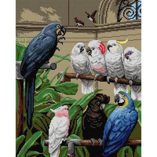 Orchidea A Select Committee Gobelin Halfstitch Canvas | 40cm x 50cm | Michaels®